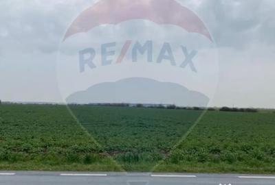 Teren de 32120 mp, în DN 2