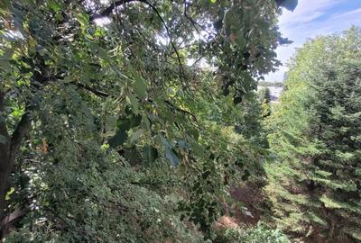 Apartament cu 3 camere decomandat în Brâncoveanu - 11