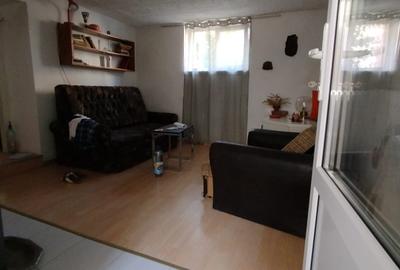 Casa individuala, D+P, Craiter. - 1