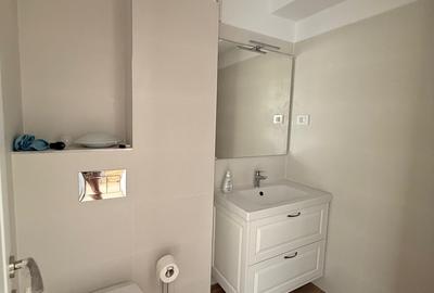 Liviu Rebreanu, Titan, dezvoltator Liviu Rebreanu, Titan, dezvoltator - 20