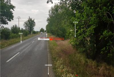 Teren de 43500 mp, în Sud - 5