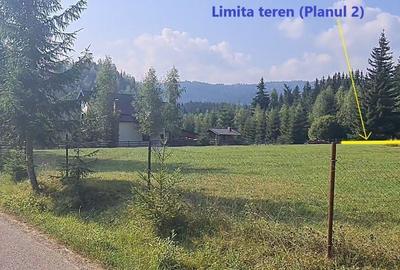 Teren de 6450 mp, în Neagra - 14