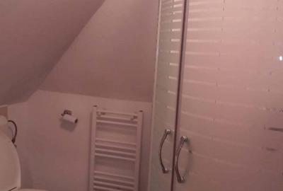 Casă cu 5 camere în Pădureni (Jebel) - 2