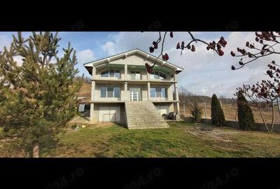 Casă în Hațeg - 1