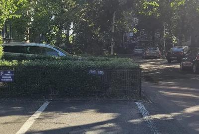 Inchiriere apartament Pajura - 2