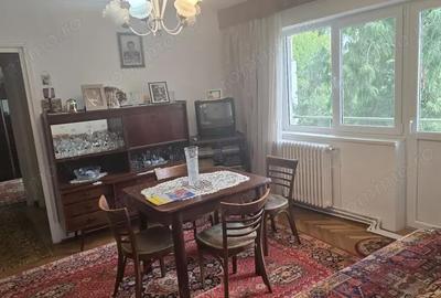 Apartament cu 3 camere semidecomandat în Gojdu - 14