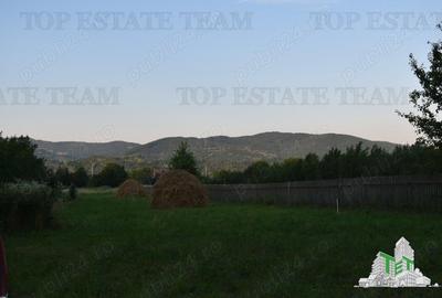Teren de vanzare / Maneciu Pamanteni - 3