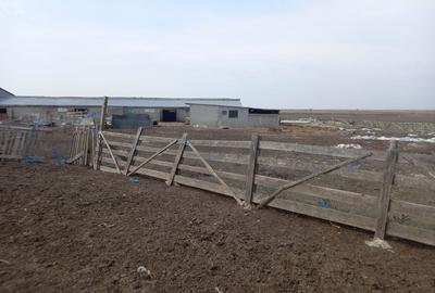 Teren de 9144 mp, în Vădeni - 5