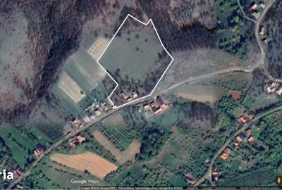 Teren de 17800 mp, în Sâg - 4