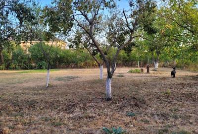 REL4000842 De vanzare teren intravilan 1000 mp. Corbeanca - 4