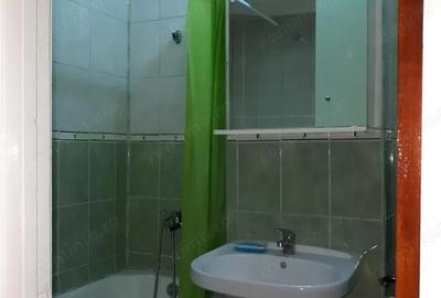 Garsonieră în Elisabetin - 1