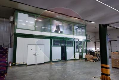 Spațiu industrial, de 4,600 mp, în Afumați - 7