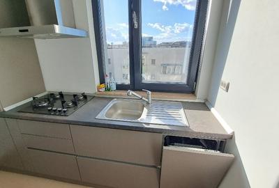 Aviatiei-Herastrau, 2 camere de inchiriat, 75 mp, prima inchiriere, terasa - 8