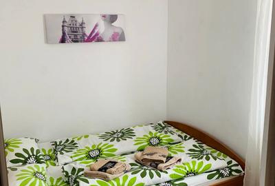 Apartament 2 camere  studio Centrul Istoric - 5