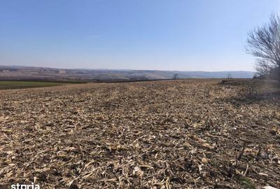 Teren de 6500 mp, în Grănicești - 1