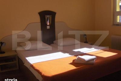 Spațiu comercial, de 450 mp, în Lugojului - 1