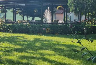 Oportunitate–Teren4000 mp,deschidere 50 ml la Centura Popesti-Leordeni - 8