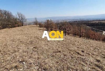 Teren ideal pentru cabana 4165 mp langa padure zona Valea Popii - 2
