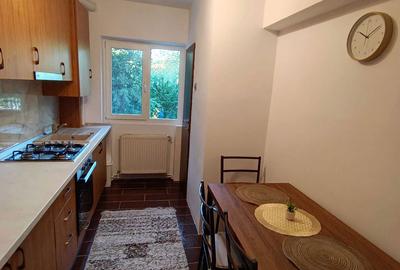 Apartament cu 2 camere decomandat în Crinț - 13