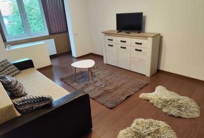 Apartament cu 2 camere decomandat în Craiter - 7