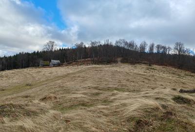 19,5 Ha  TEREN PEISAJ PANORAMIC SPECTACULOS zona turistica montana BULZ -  BIHOR - 23