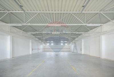 De vanzare Spatiu industrial de 10 129 mp Soseaua Borsului - 5