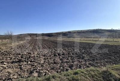 Teren de 5800 mp, în Dej - 1