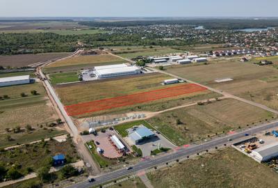 Teren Intravilan - Branesti - Investitie Pentru Hale Industriale - Vanzare - 6