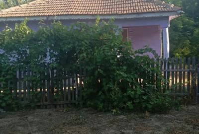 Casă cu 6 camere cu Teren 6000 Mp în Mircea Vodă - 7