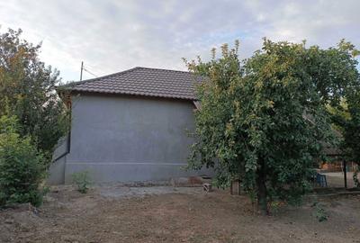 Casă cu 3 camere în Segarcea-Deal - 8