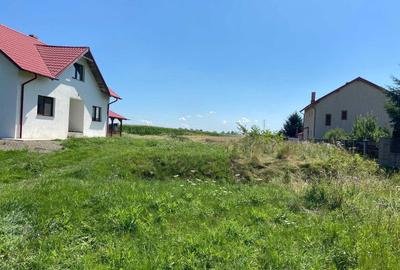 Teren de 7700 mp, în Cotu Băii - 1