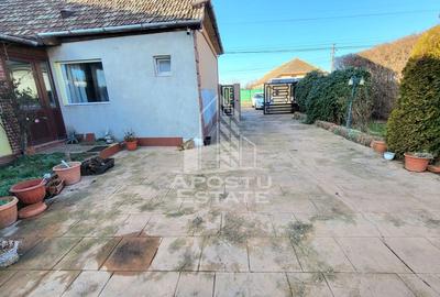 Casa individuala,independenta energetic, 5 camere,teren3783,Peciu Nou - 31