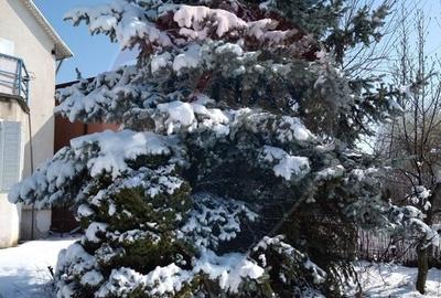 DE VANZARE Casa / Vila cu 6 camere in Popesti-Leordeni - 44