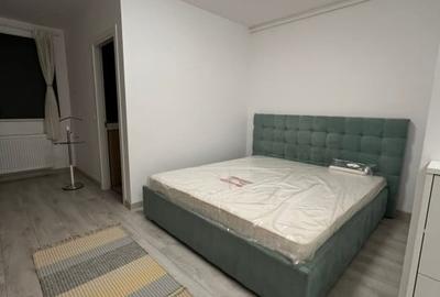 Garsonieră semidecomandată, mobilată în Theodor Pallady - 2