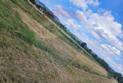 Teren 1,945mp Sarasau / Drumul PRINCIPAL - 3