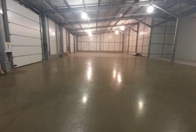 Ovidiu, EUROHALA, 720 mp., deschidere DN, standarde europene - 4