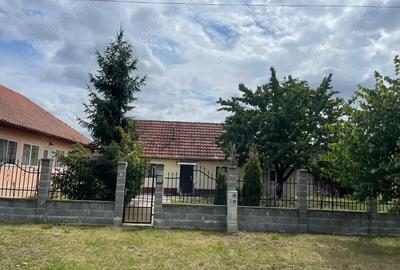 Vand casa cu gradina