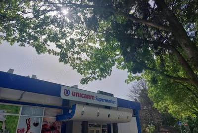 Sagului - garsoniera Sagului - garsoniera - 3