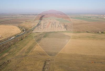 De vanzare teren intravilan 39,016mp Arad / DJ Iratos - 4