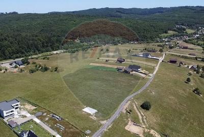 Teren 3,757mp Paltinoasa / Strada principala - 4