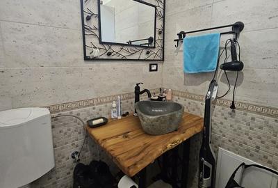 Casă cu 2 camere în Podgoria - 4