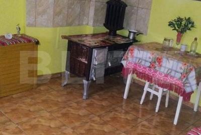 Casă cu 4 camere cu Teren 5450 Mp în Central - 11