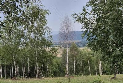 Teren extravilan 13.800 mp Ra?nov, Glajarie priveli?te superba, oportunitate de investi?ie Teren extravilan 13.800 mp Ra?nov, Glajarie priveli?te superba, oportunitate de investi?ie - 10