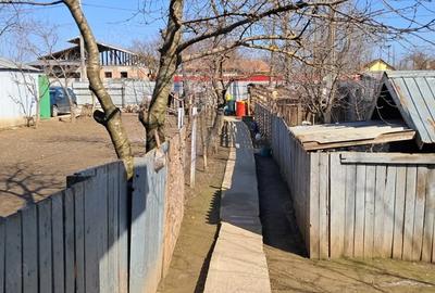 Casă cu Teren 960 Mp în Broșteni - 2