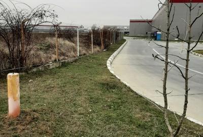 Ilfov Teren, zona industriala, in Domnesti. Tarlaua 7, depozitele Logistics Park, A1 - 6