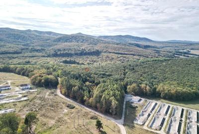 Teren Intravilan - Amplasare Unica - 3