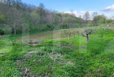 Teren de 6659 mp, în Nisipoasa - 9