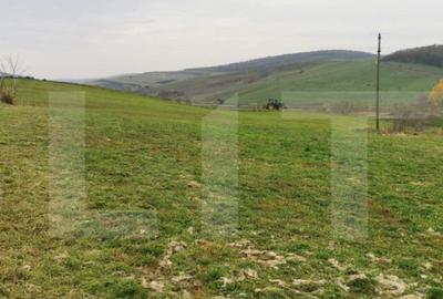 Casă cu 1 camere cu Teren 3000 Mp în Someșeni - 2