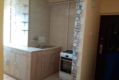 Apartament cu 2 camere decomandat în Tudor - 3