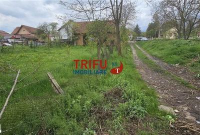 Casă cu 2 camere cu Teren 3101 Mp în Galda de Jos - 2